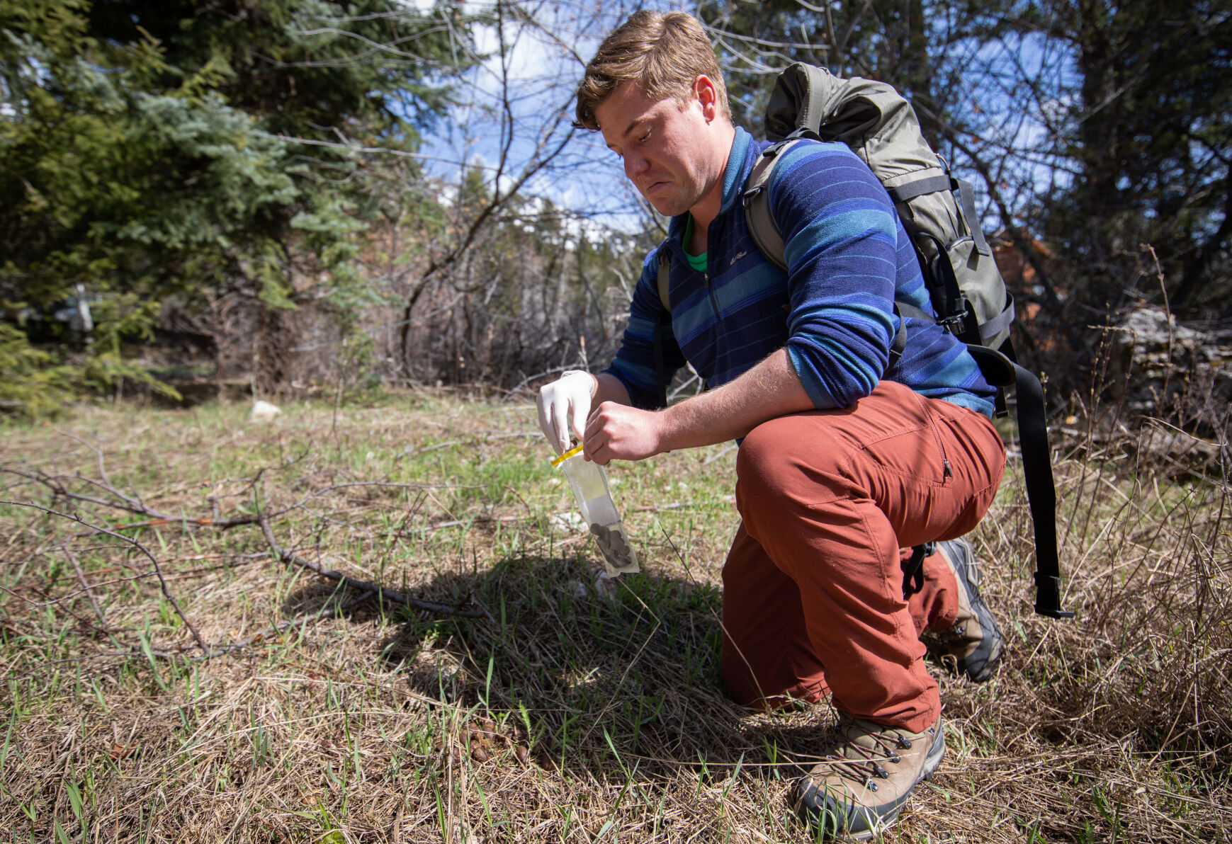 Teton tick study
